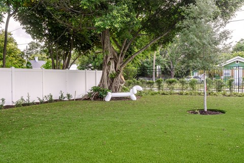 a yard with a tree and a white goose in the grass