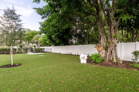 a yard with a tree and a white fence
