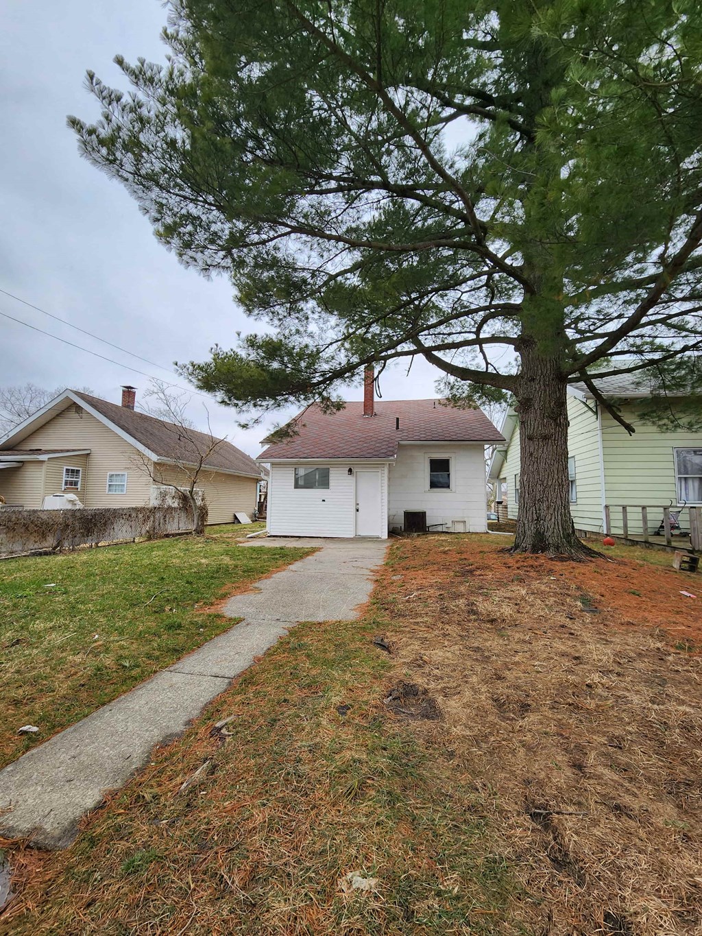 a white house with a large tree and a sidewalk
