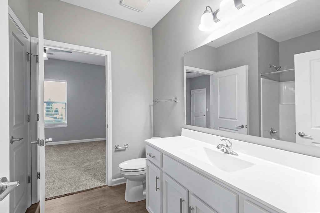 a bathroom with a sink and a toilet and a mirror