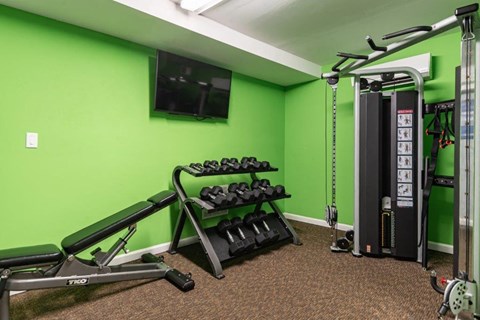 a gym with weights and a tv in a green wall