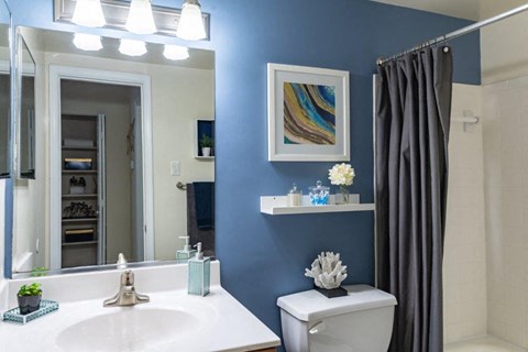 a bathroom with a sink toilet and a mirror