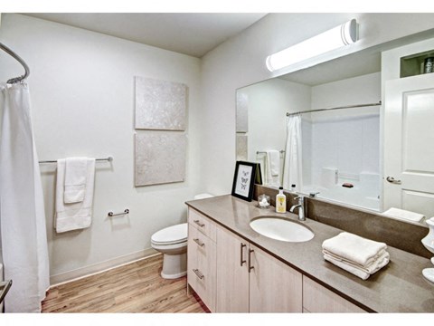 Luxurious Bathroom at Ruth Court Apartments, Seattle, 98112