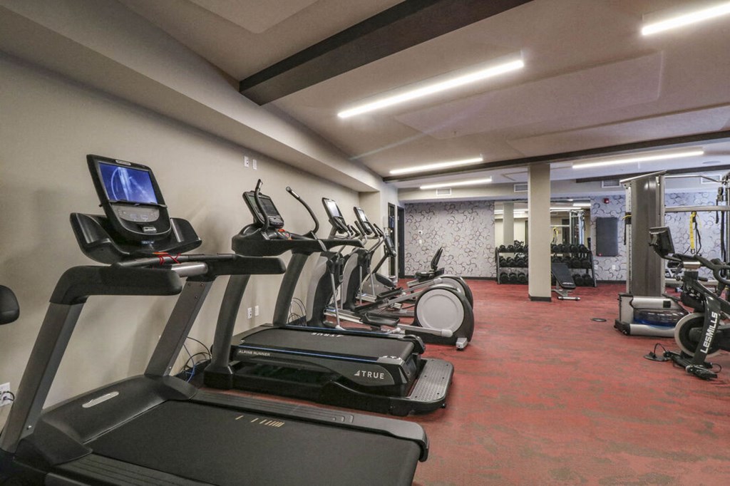 Cardio Machines In Gym at Vue at Bluestone, Minnesota, 55803