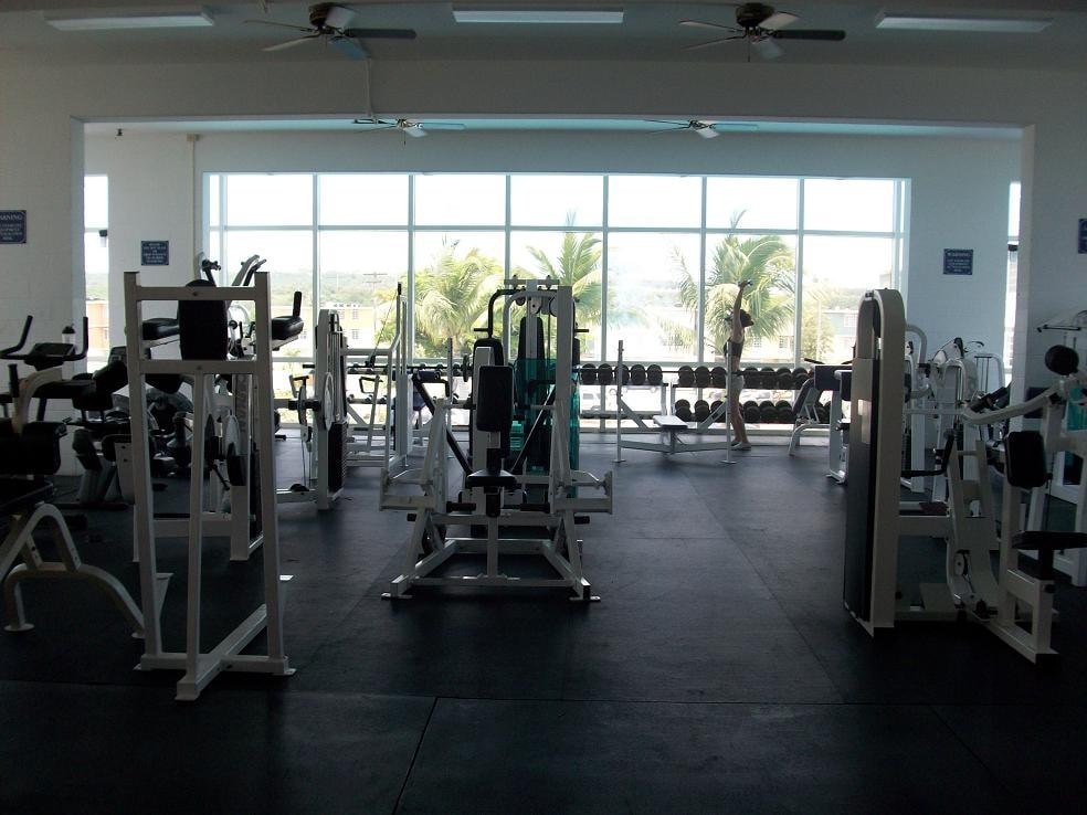 a gym with a view of the beach and palm trees