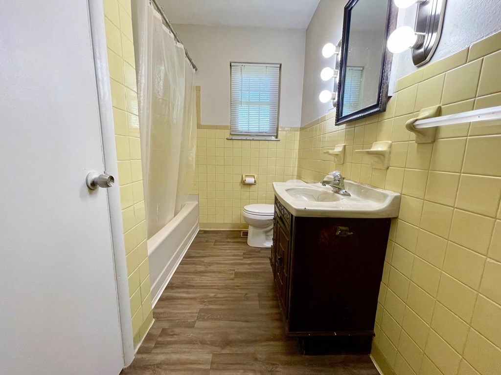 a bathroom with a sink and a toilet and a tub