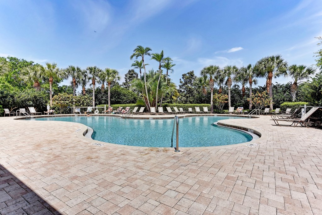 the swimming pool at the preserve at ballantyne commons apartments with palm trees