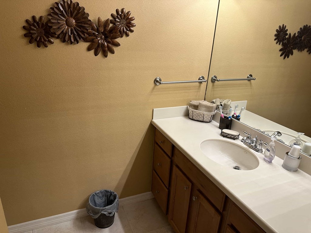 a bathroom with a sink and a mirror