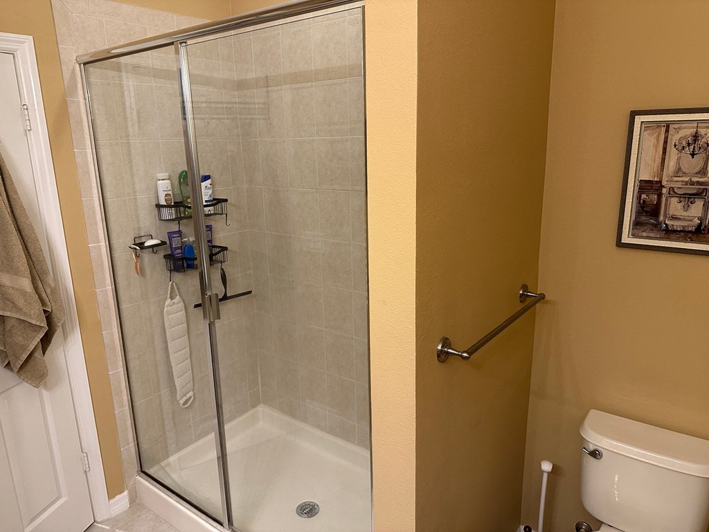a bathroom with a shower and a toilet