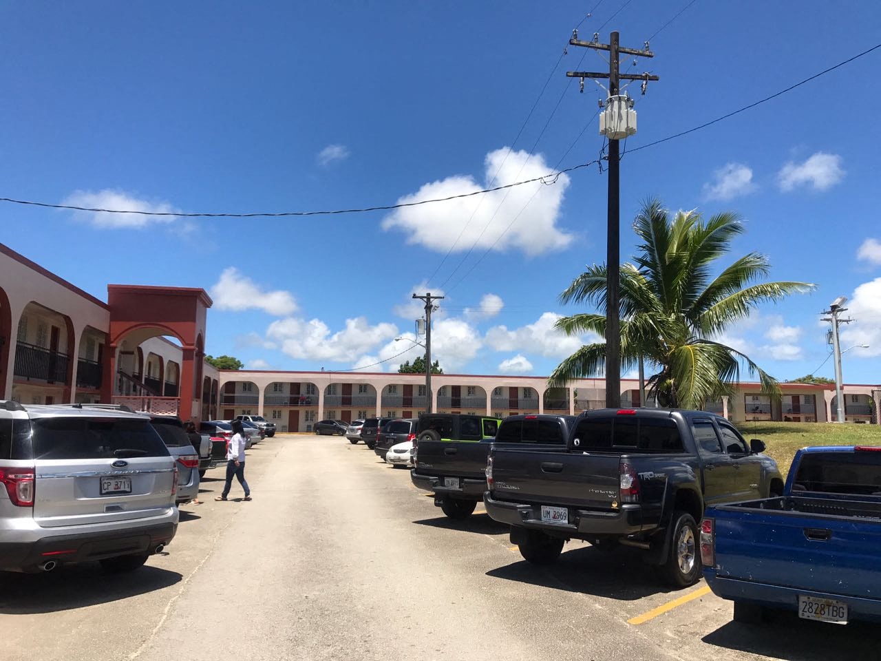 a parking lot filled with cars and a building with a palm tree
