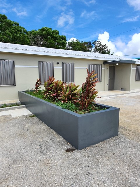 a large concrete planter with tropical plants in front of a building