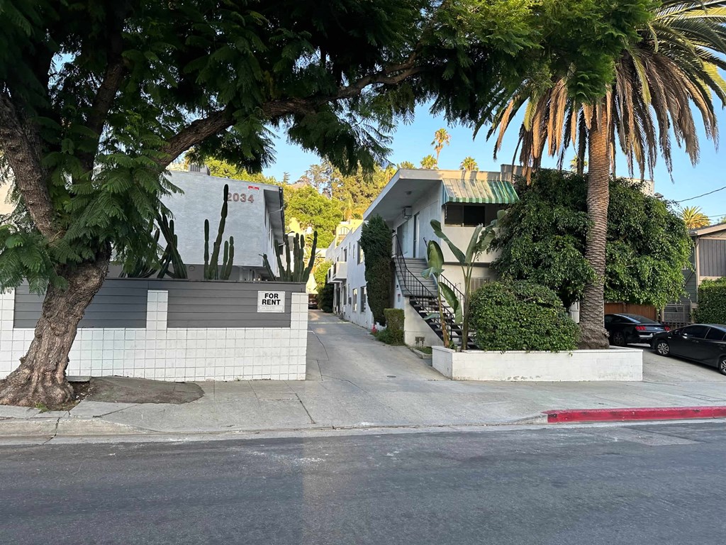 a city street with a building and palm trees
