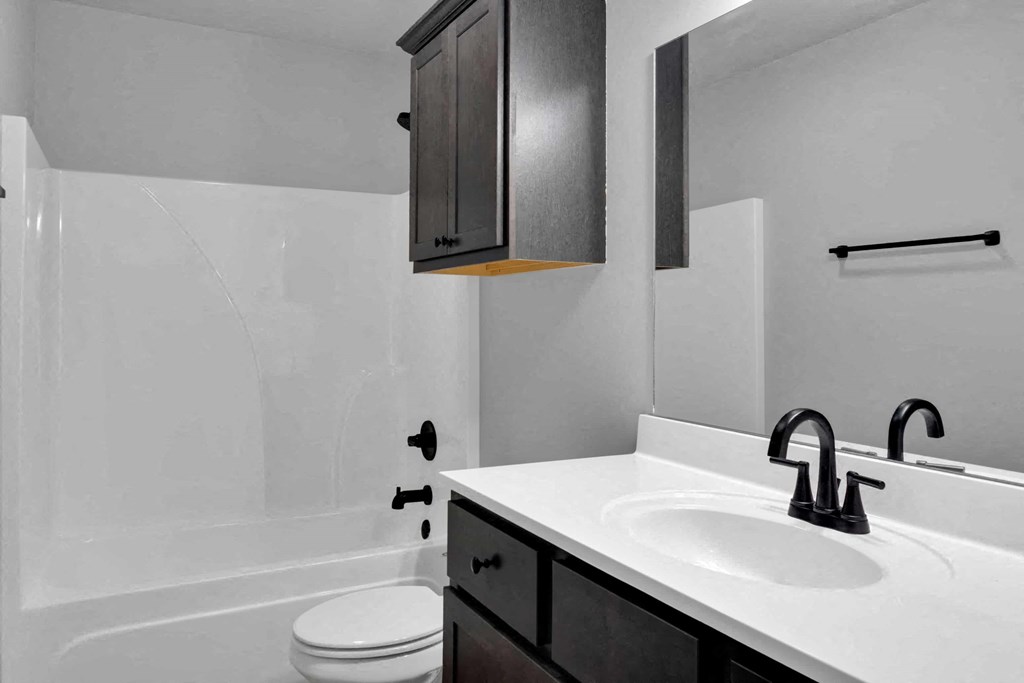 a bathroom with a sink and a toilet