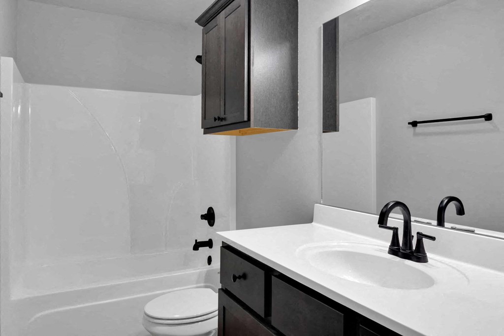 a bathroom with a sink and a toilet