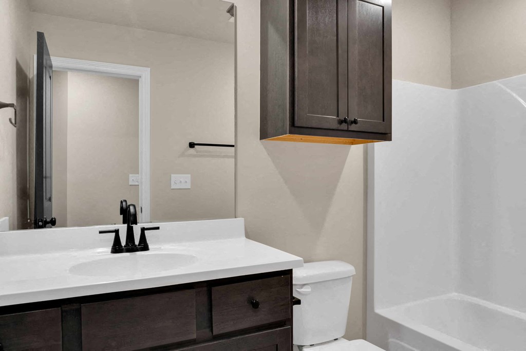 a bathroom with a sink and a toilet