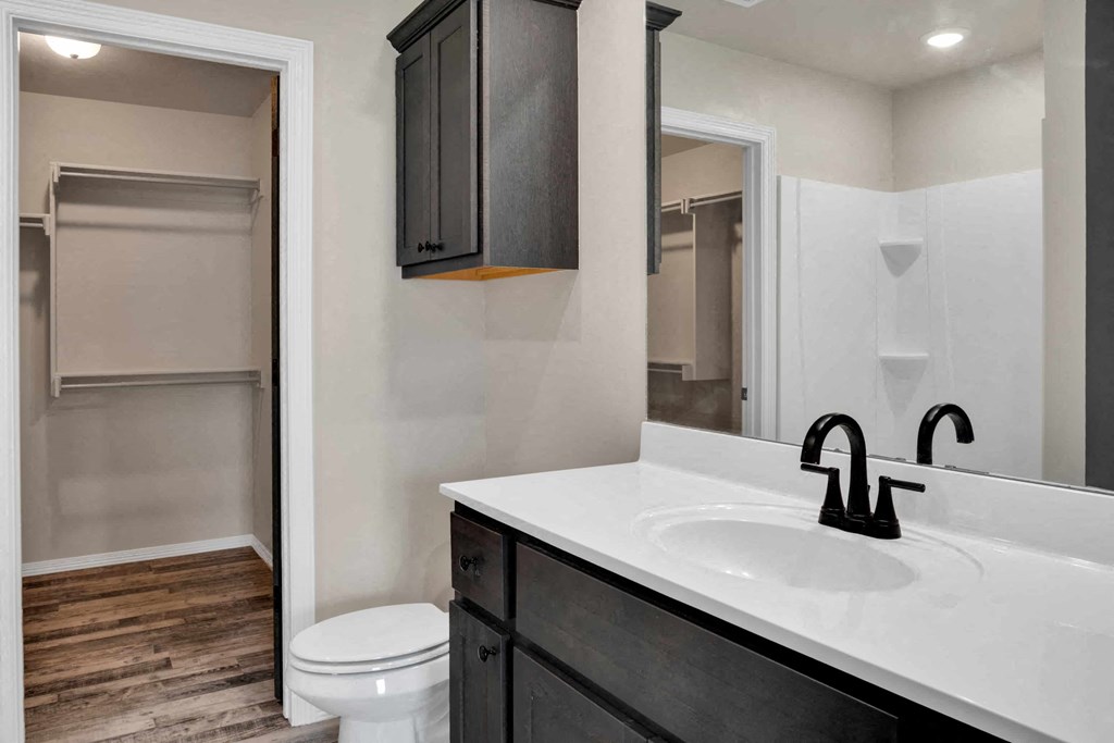 a bathroom with a sink and a toilet and a mirror