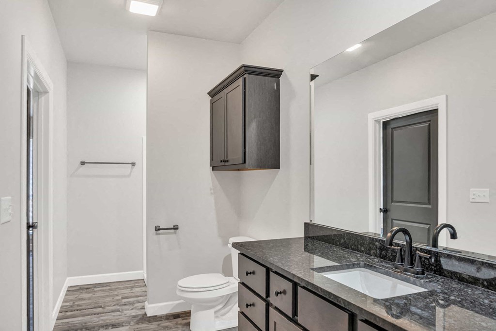 a bathroom with a sink and a toilet and a mirror