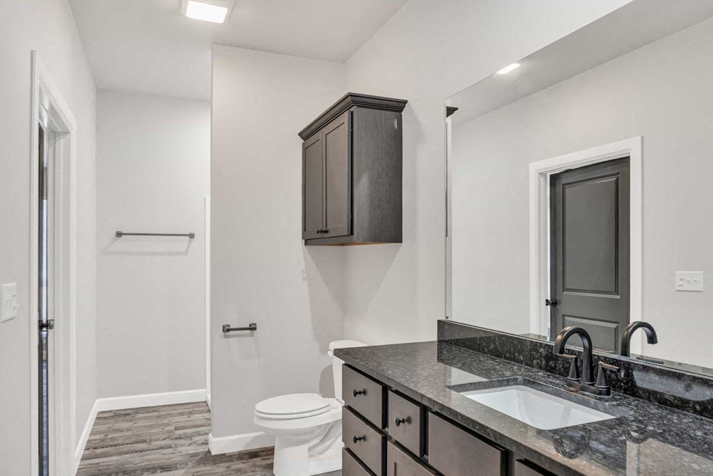 a bathroom with a sink and a toilet and a mirror