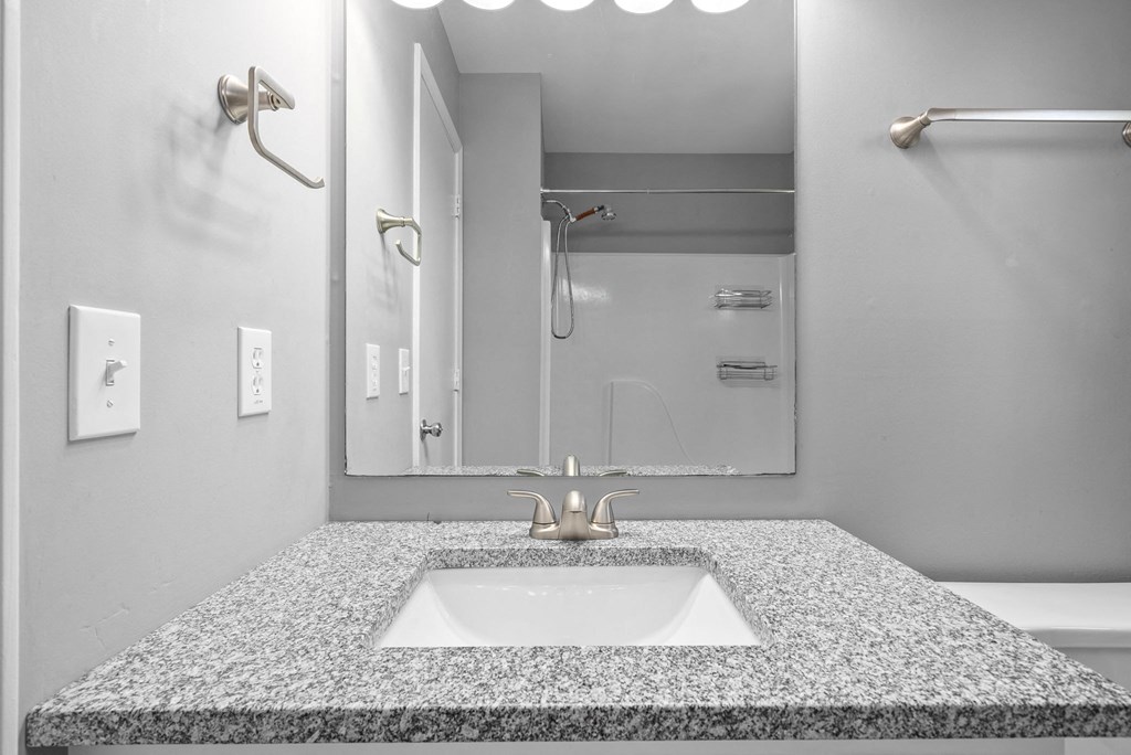 a bathroom with a sink and a mirror and a shower