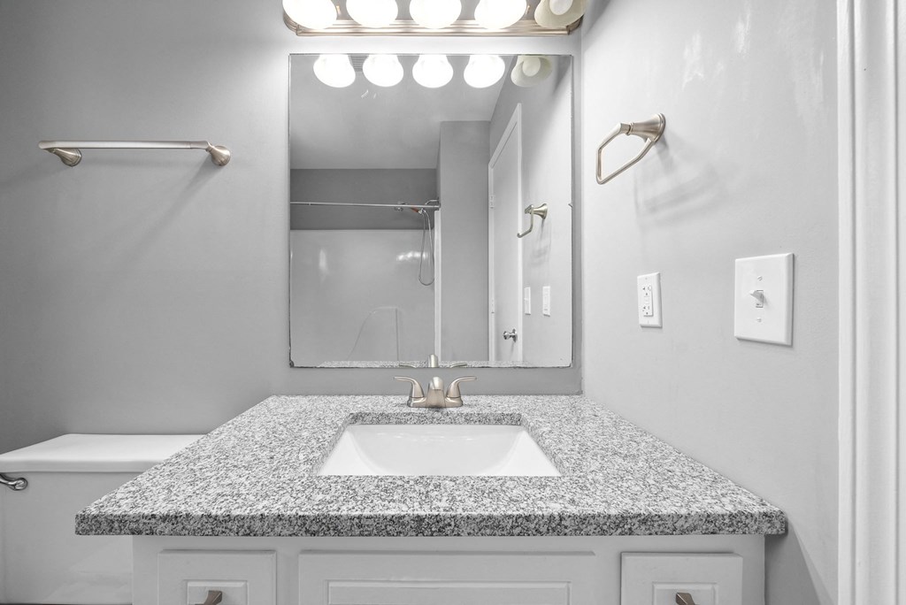 a bathroom with a sink and a mirror and a shower