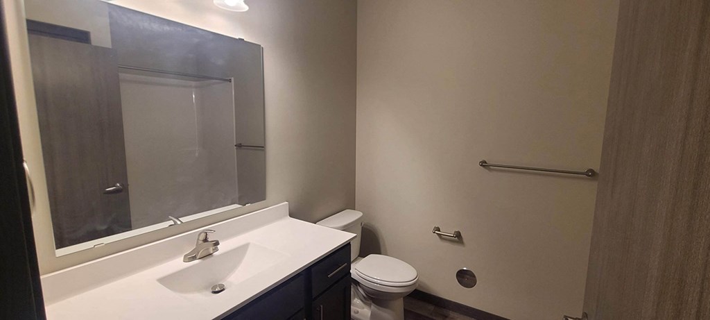 a bathroom with a sink and a toilet and a mirror