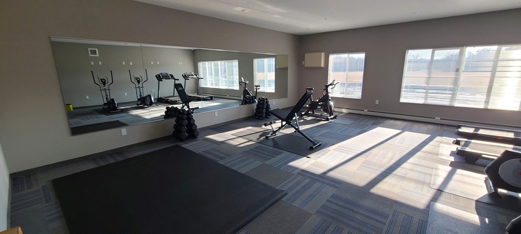 a workout room with weights and mirrors in a home gym