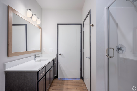a bathroom with a shower and a sink and a mirror