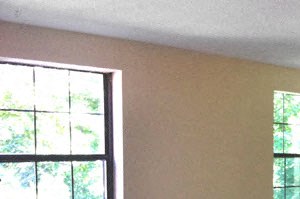 River Building an empty living room with two windows in it