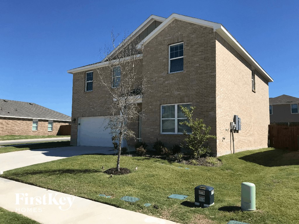 a small tree in front of a brick house
