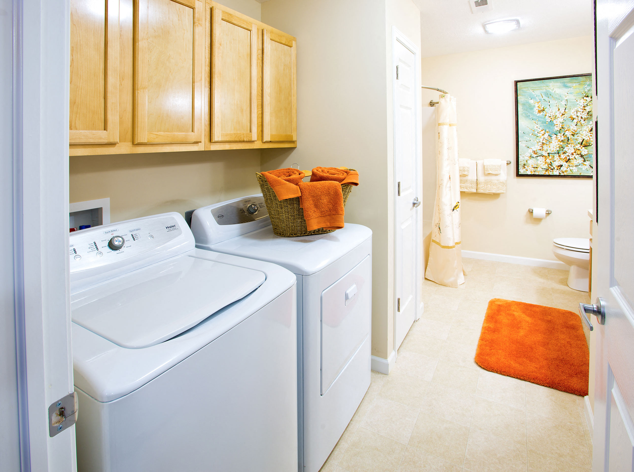 Medina OH Apartment Rentals Redwood Blackberry Trails Of Montville Green Ash Trail Standard Bath 2