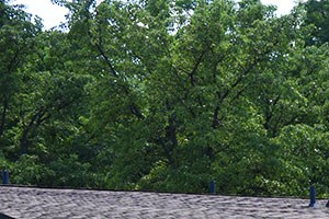 Akron Ohio Apartment Rentals Northampton Apartments by Redwood Exterior 1
