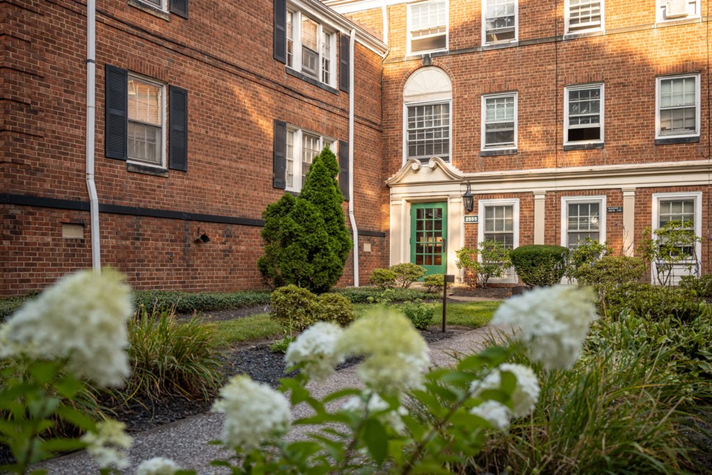 a view of the outside of a brick building with white flowers