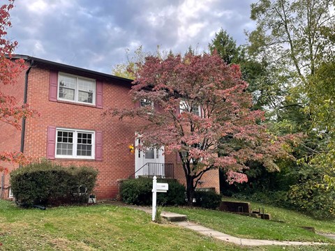 a red brick house with a tree in front of it