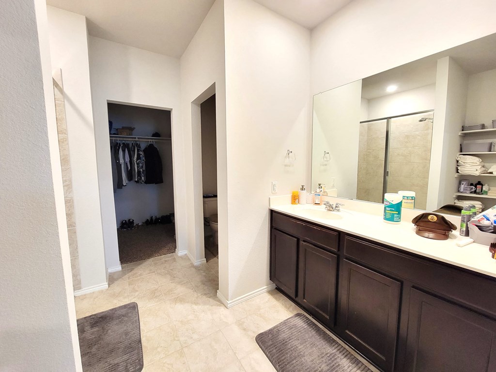 a bathroom with a sink and a mirror and a closet