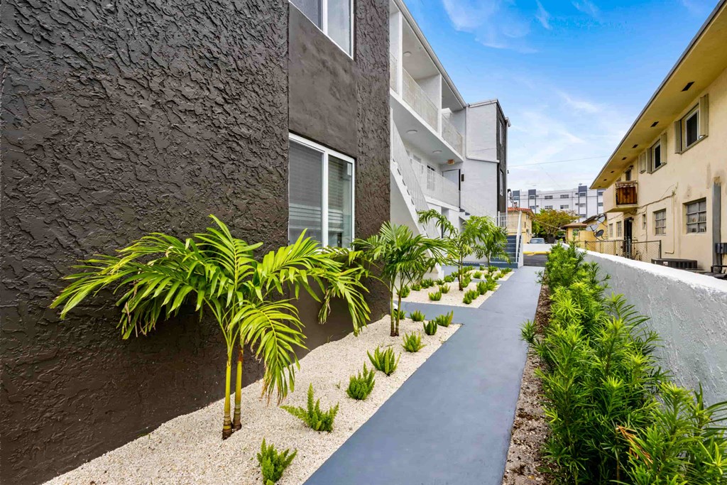 A pathway with plants on either side leads to a building.