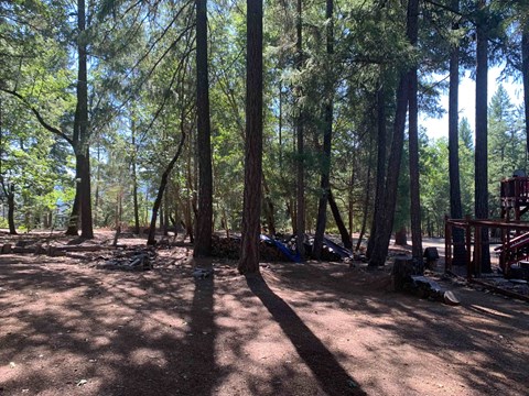 a campsite in the woods with a lot of trees