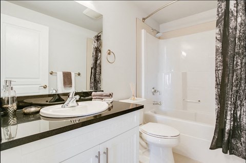 A white toilet sits next to a sink in a bathroom.