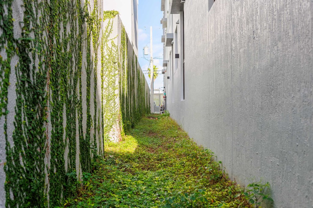 a grassy path between two buildings next to a fence