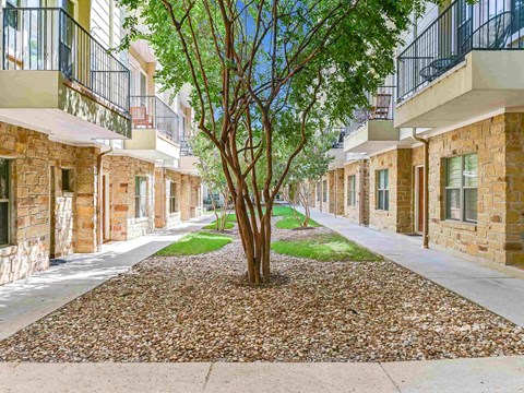 A tree in the middle of a courtyard surrounded by buildings.