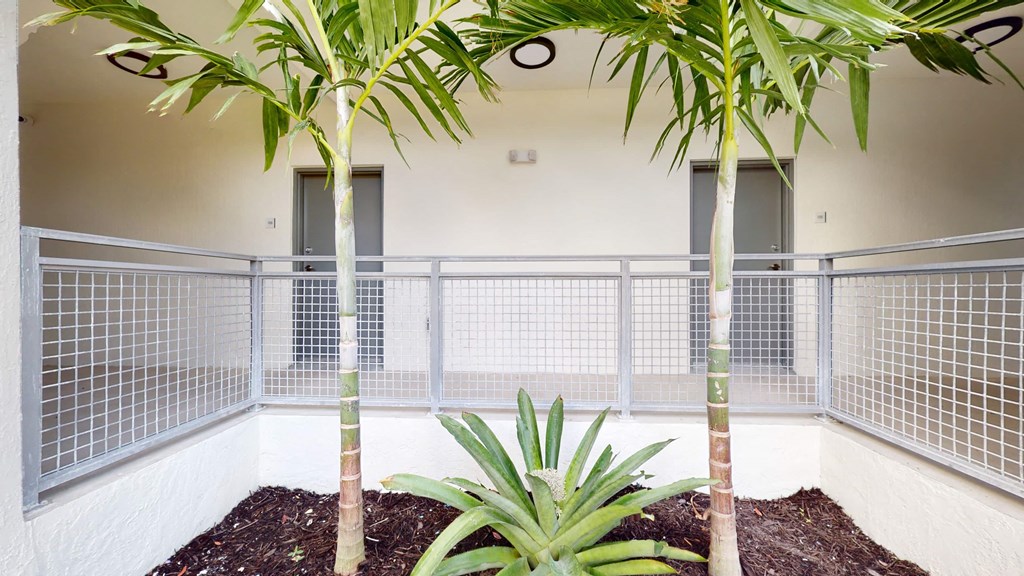 a courtyard with palm trees and metal fences