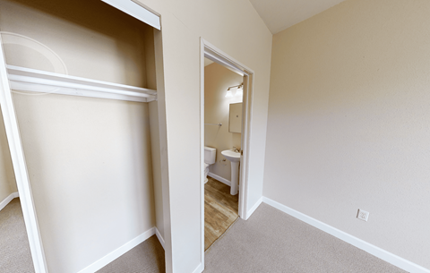 A white closet with a mirror and a carpeted floor.