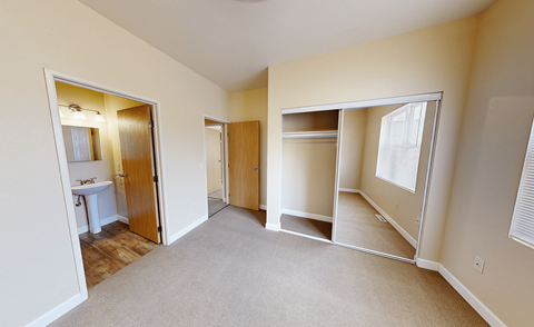A carpeted room with a white sink and a mirror.