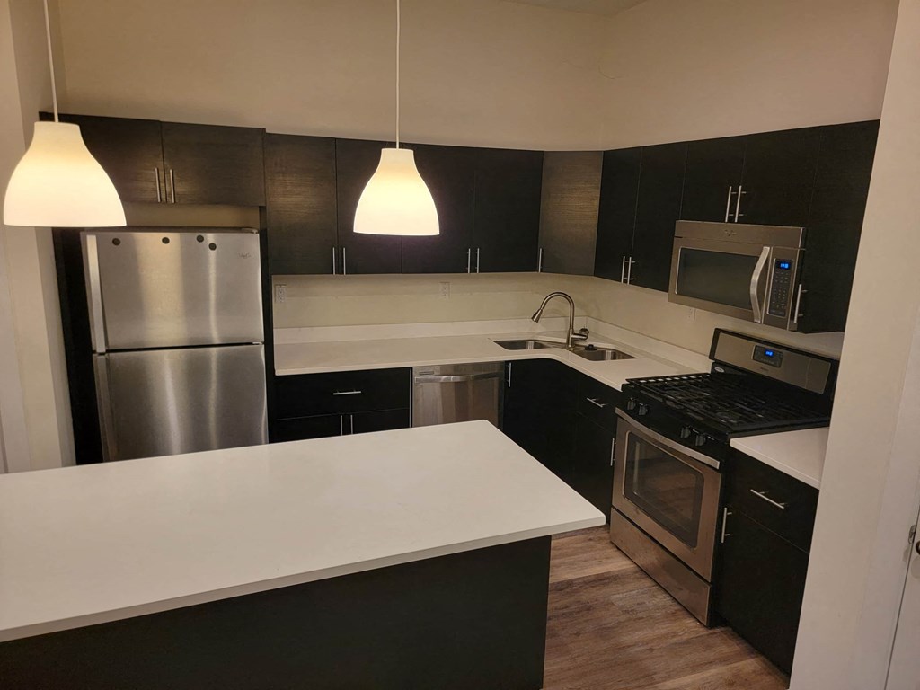 a kitchen with black cabinets and stainless steel appliances