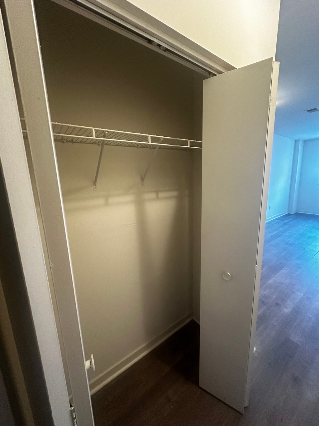 a walk in closet in an empty room with a door open