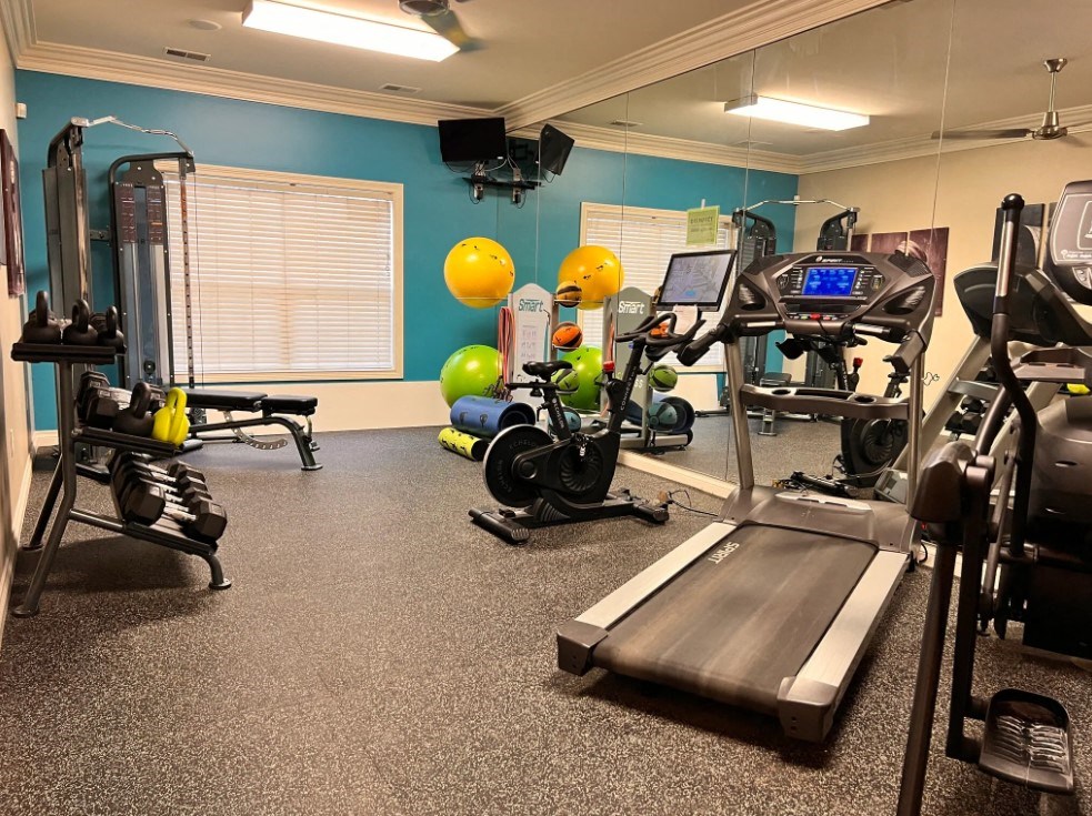 a gym with weights and cardio equipment in a home gym