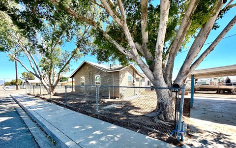 a house behind a chain link fence and a tree