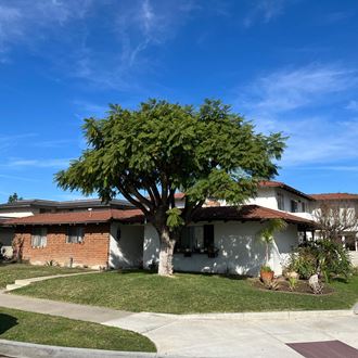 a tree in a yard in front of a house