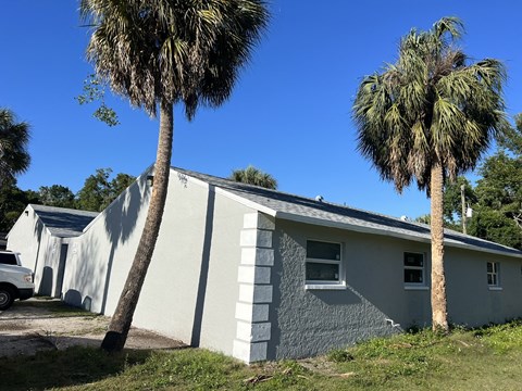 a house with two palm trees in front of it