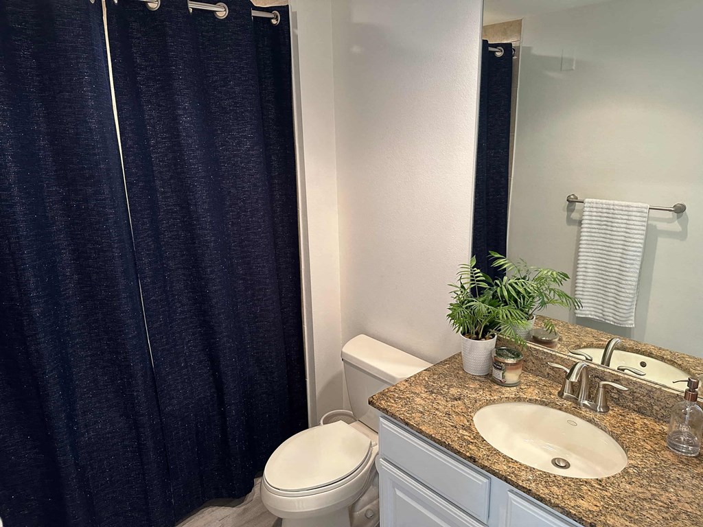 a bathroom with a sink toilet and a shower