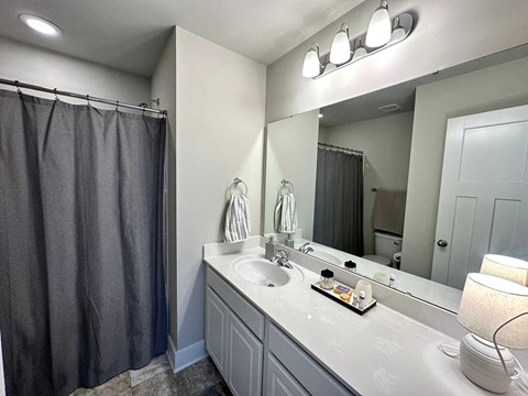 a bathroom with a sink and a shower and a mirror